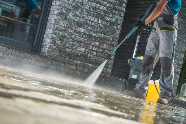 Best Fleet Vehicle Washing  in Mount Zion, IL